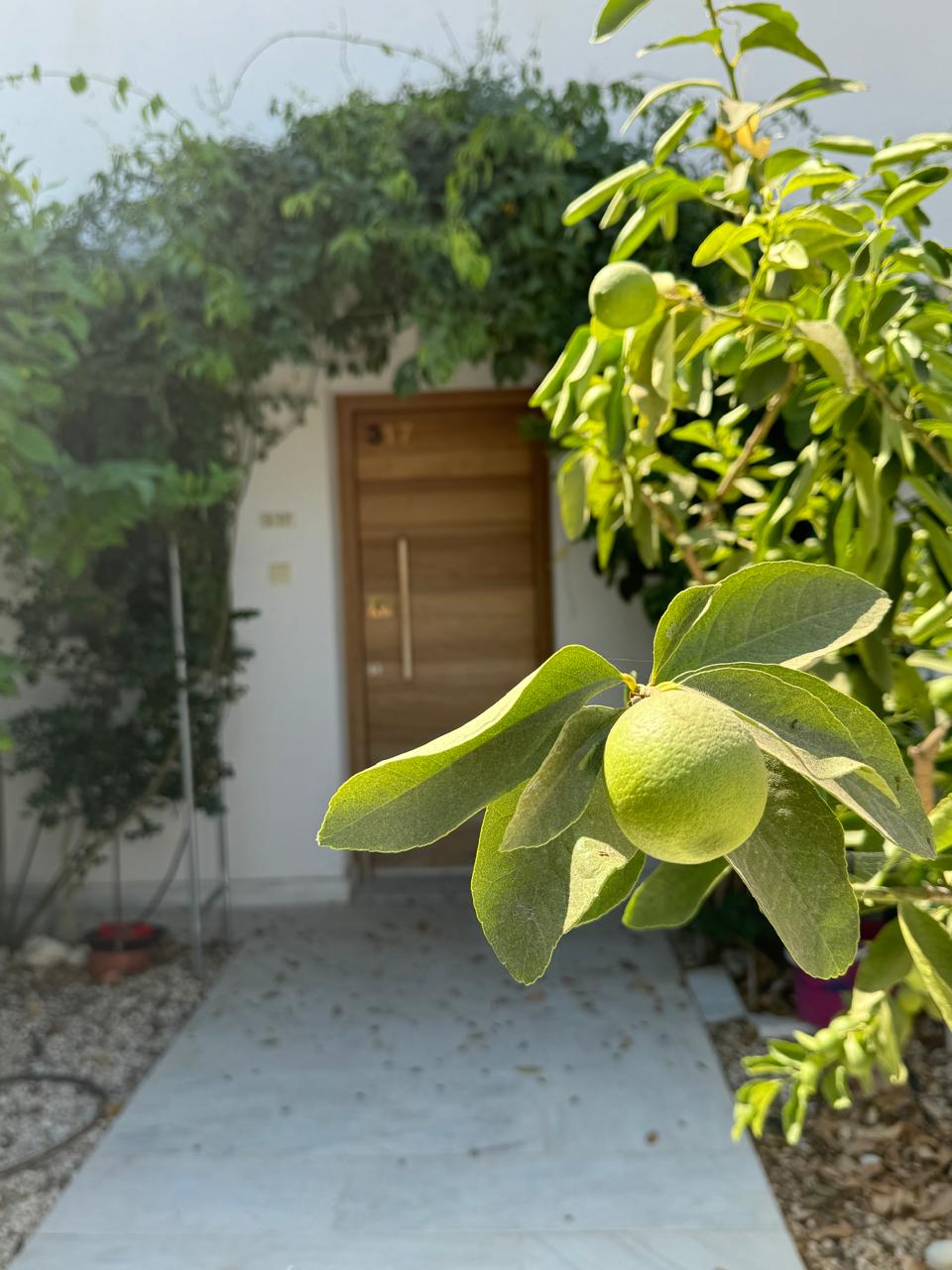 2 bedrooms Townhouse in Paphos, Cyprus No. 57478