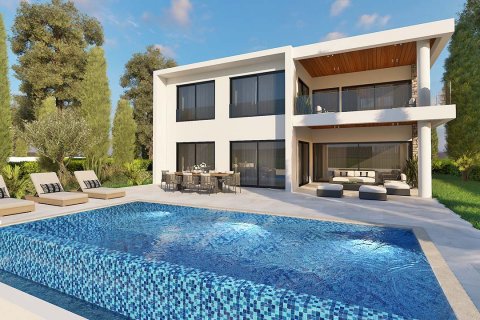 Carob Homes à Tala, Paphos, Chypre No. 24249