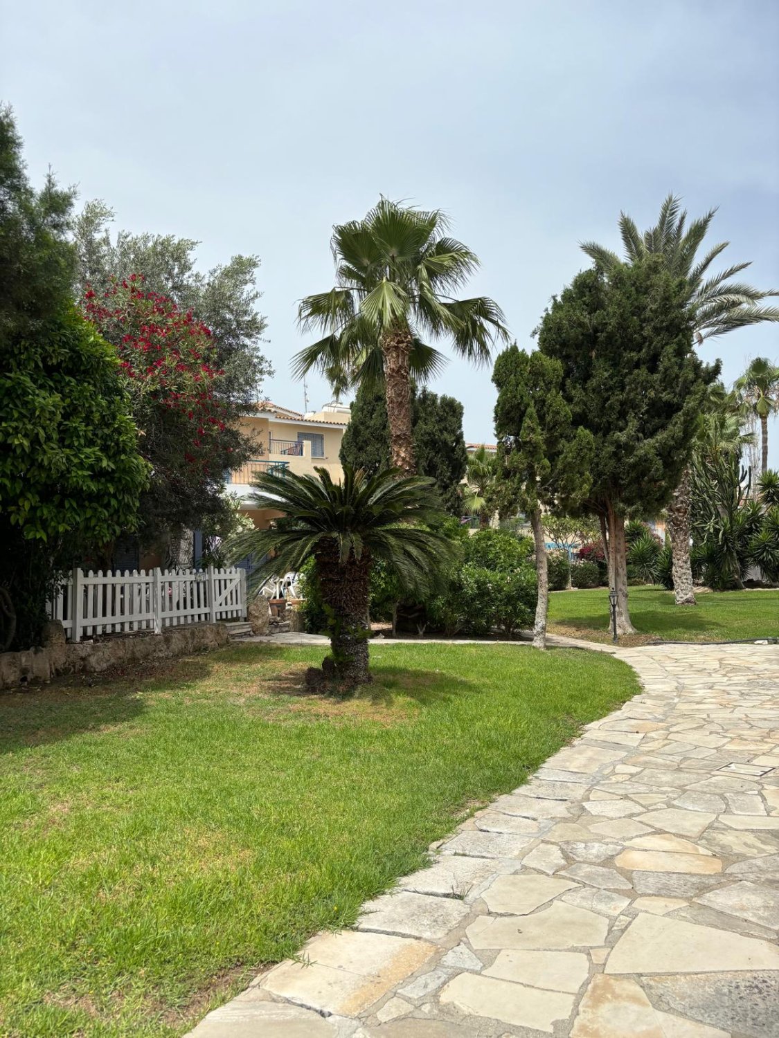 1 bedroom Apartment in Paphos, Cyprus No. 57486