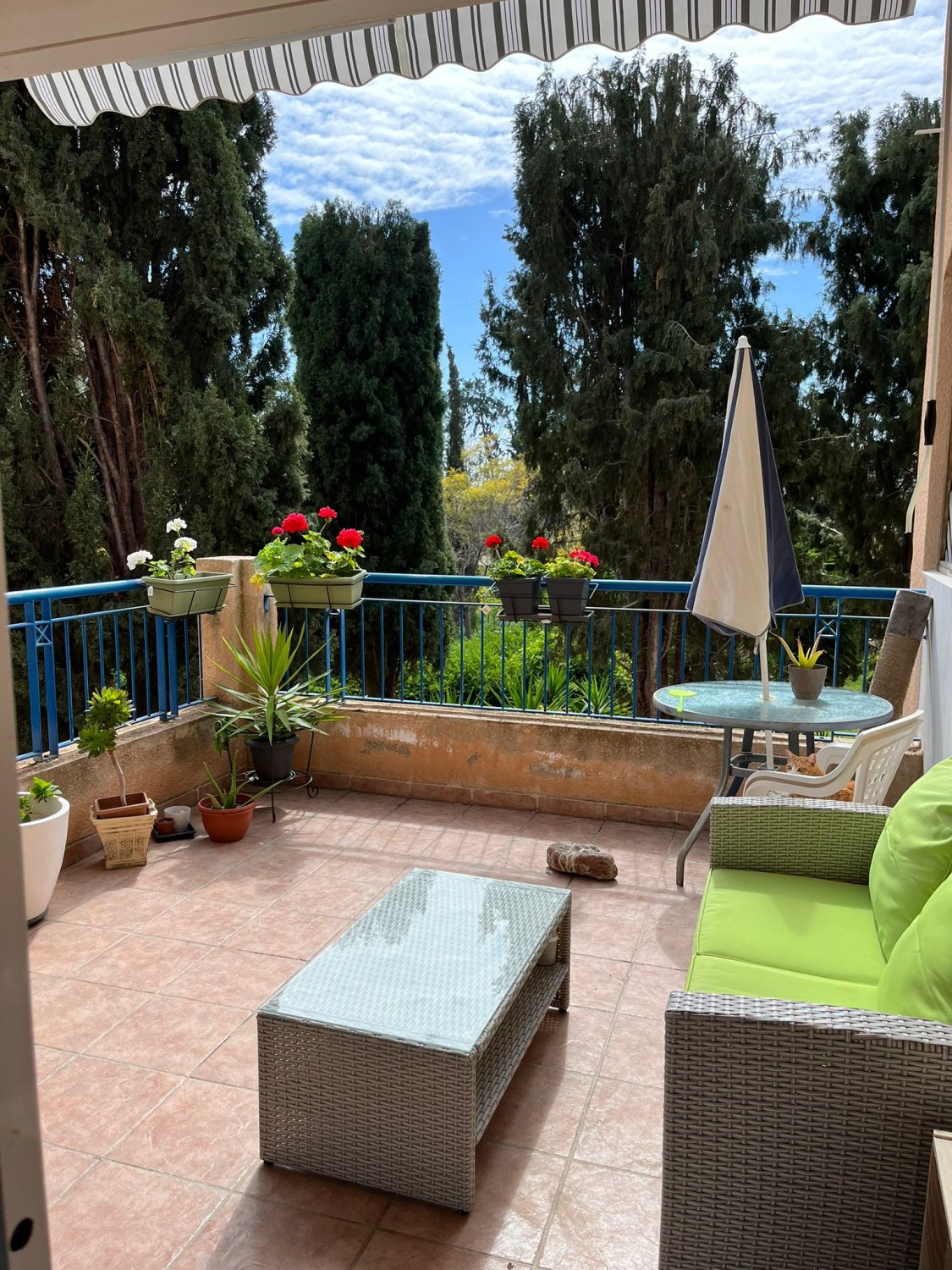 1 bedroom Apartment in Paphos, Cyprus No. 57486