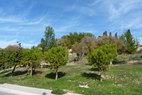 2 bedrooms Apartment in Paphos, Cyprus No. 57445