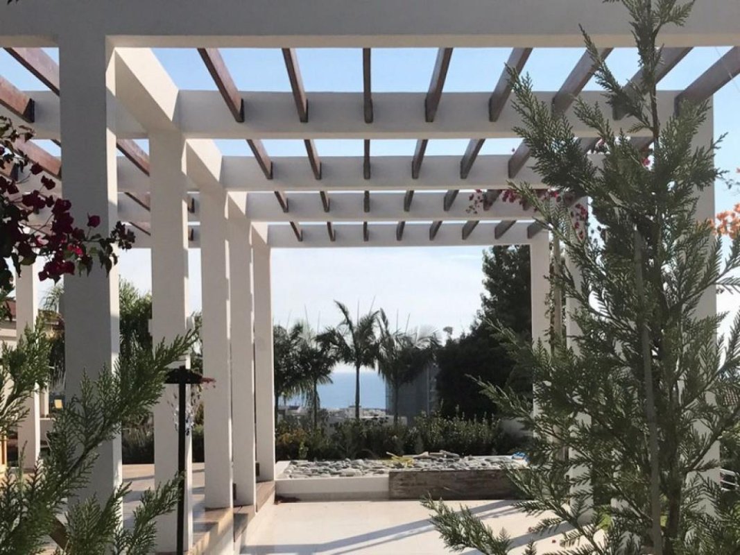 Studio Villa in Limassol, Cyprus No. 38063