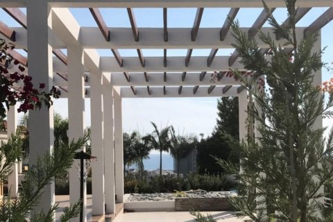 Studio Villa in Limassol, Cyprus No. 38063