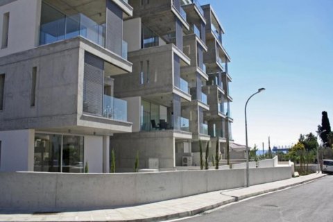 Studio Apartment in Nicosia, Cyprus No. 38061