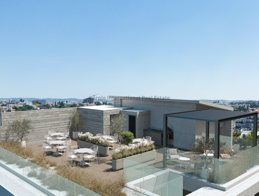 1081.5m2 Office in Kato Paphos, Paphos, Cyprus No. 50286