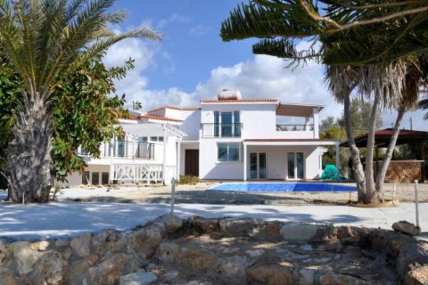 Studio Villa in Paphos, Cyprus No. 38298