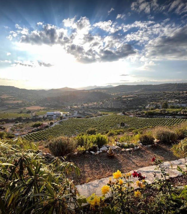 Land in Kato Drys, Larnaka, Cyprus No. 56137