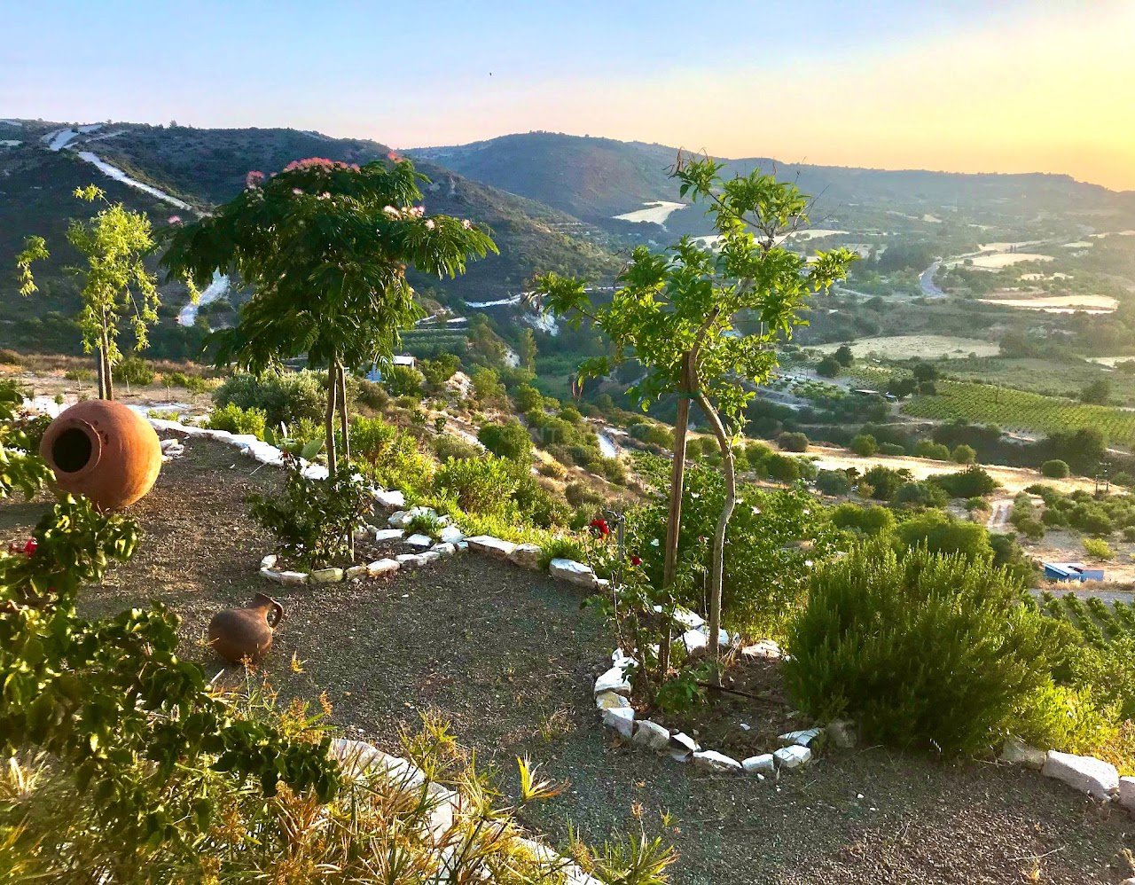 Land in Kato Drys, Larnaka, Cyprus No. 56137