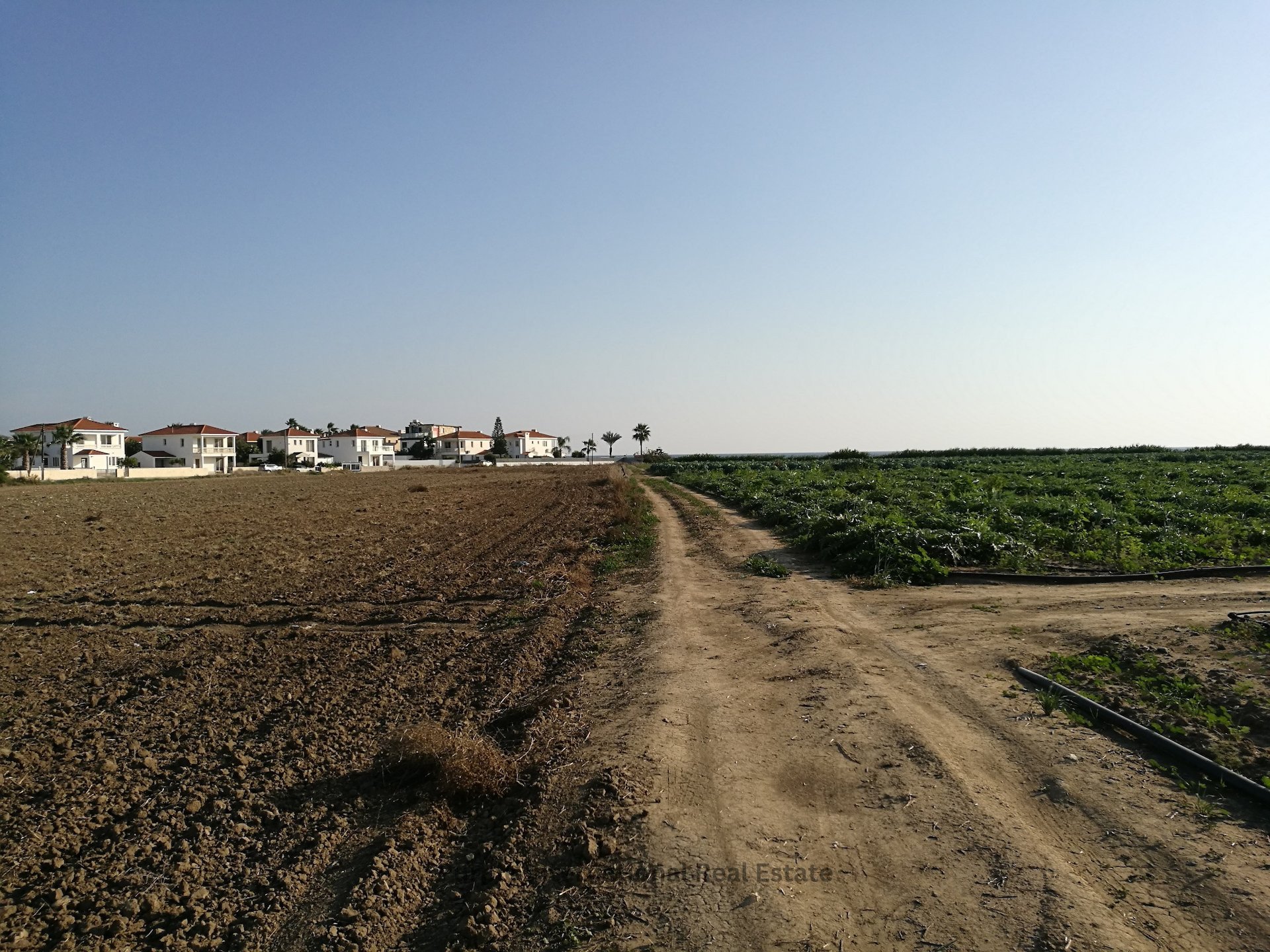 Land in Kiti, Larnaka, Cyprus No. 36192