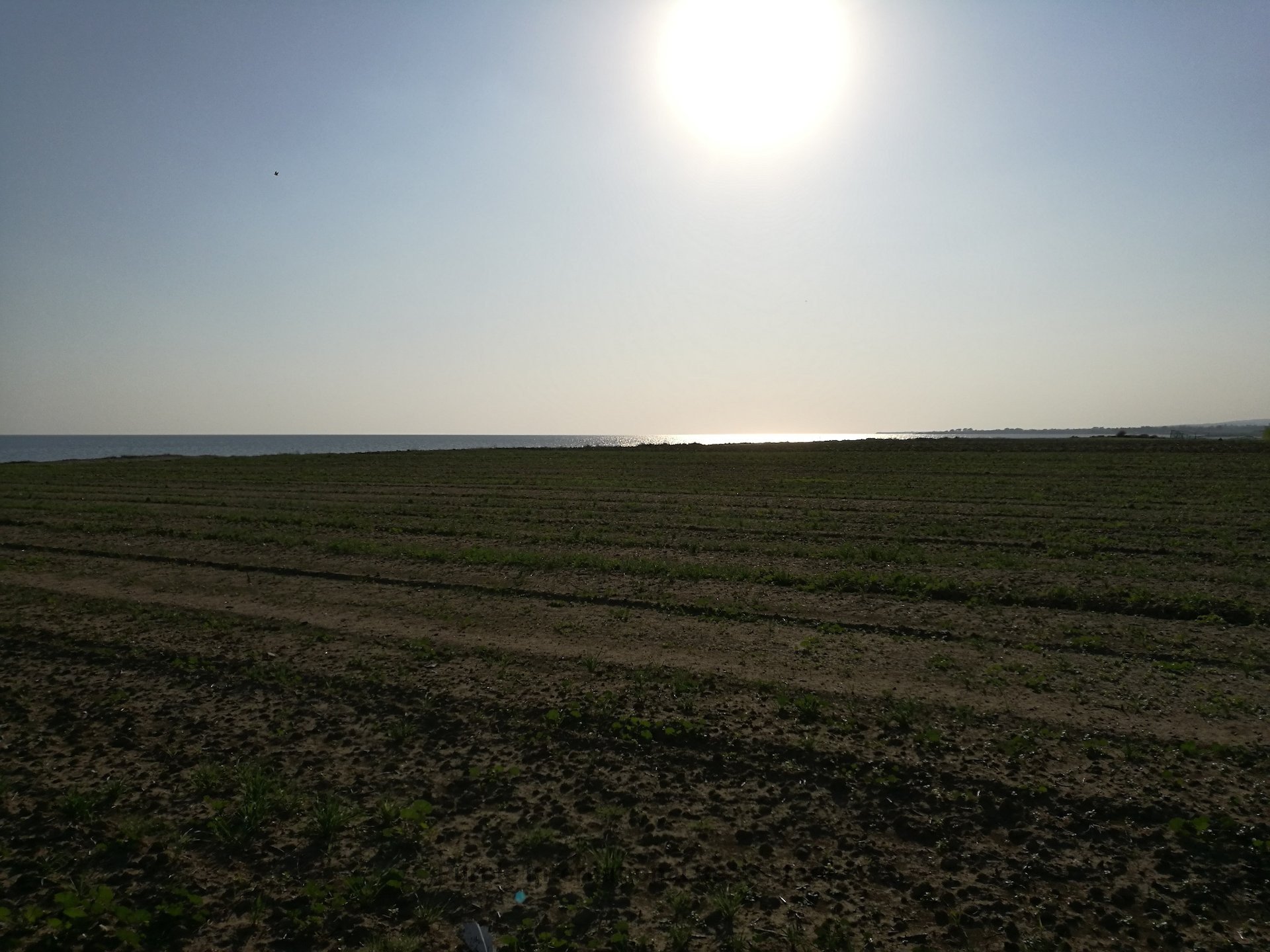 Land in Kiti, Larnaka, Cyprus No. 36192