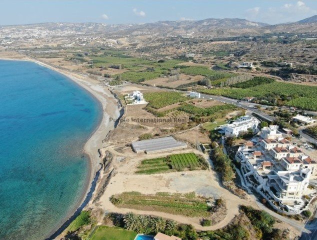 5 bedrooms Villa in Kissonerga, Paphos, Cyprus No. 8168