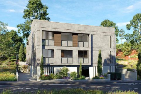 1 bedroom Apartment in Prodromos, Nicosia, Cyprus No. 41501