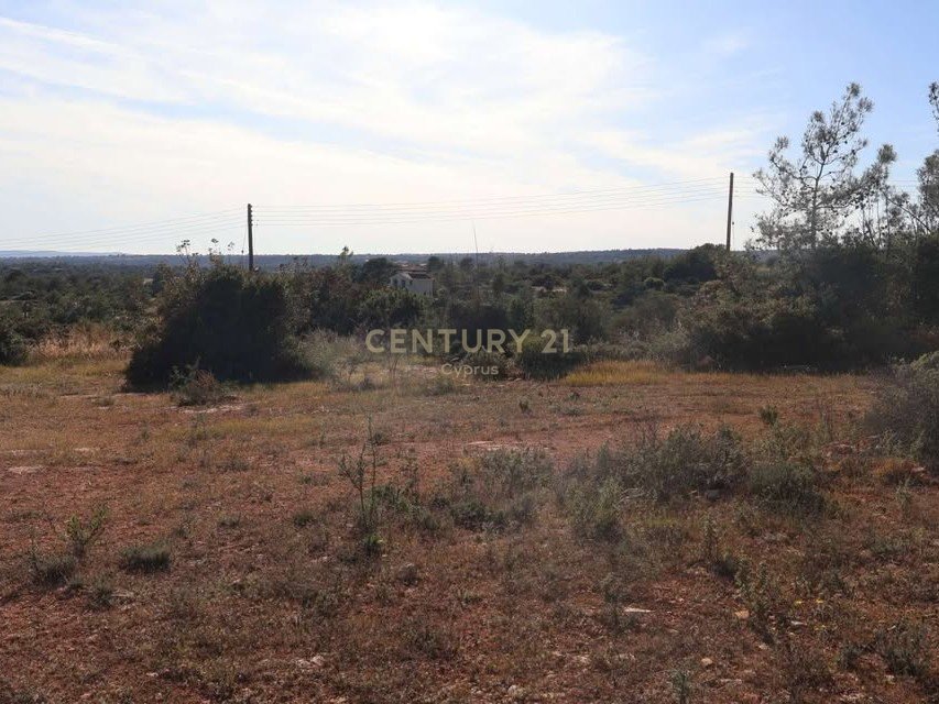 Land in Souni–Zanatzia, Limassol, Cyprus No. 55913