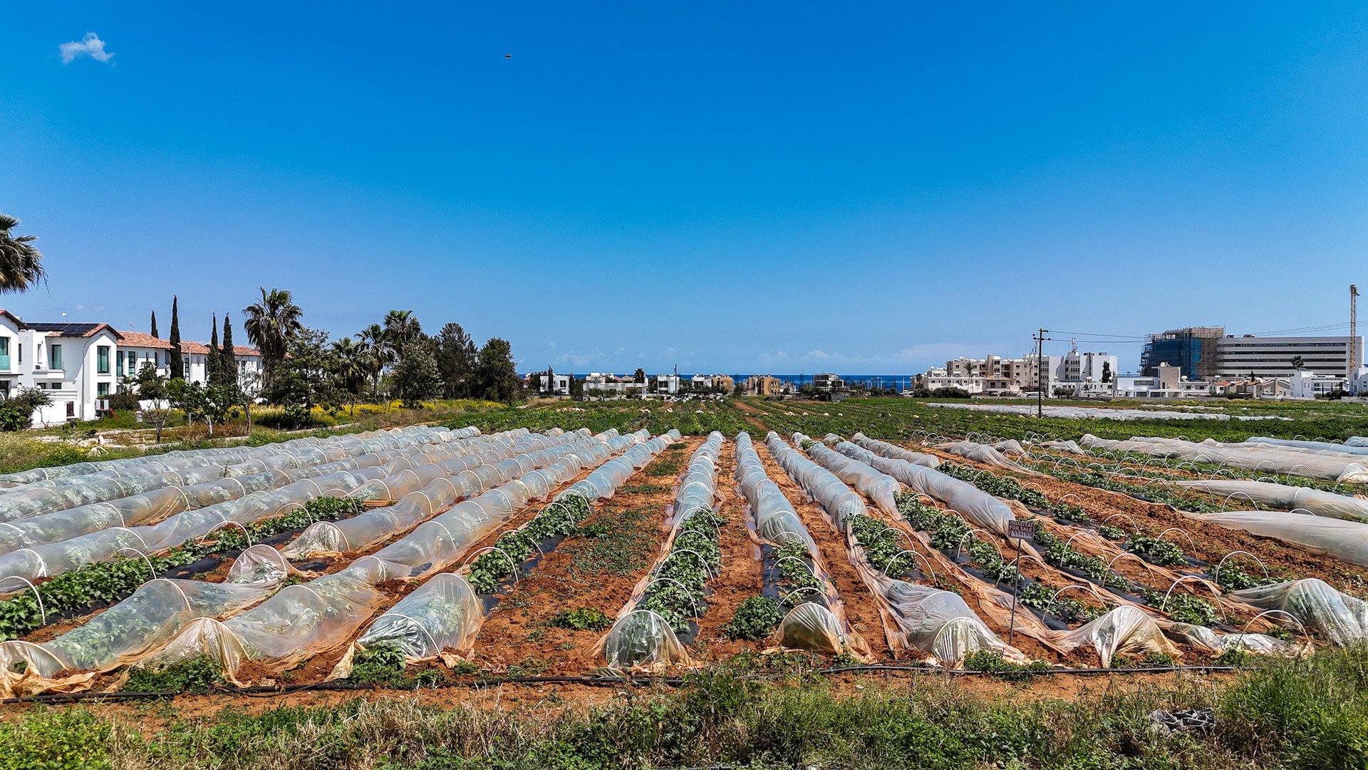 Land in Paralimni, Ammochostos, Cyprus No. 35791