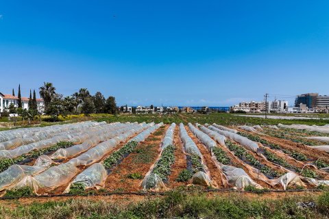 Land in Paralimni, Ammochostos, Cyprus No. 35791