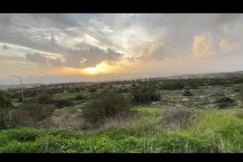 Land in Pegeia, Paphos, Cyprus No. 56098