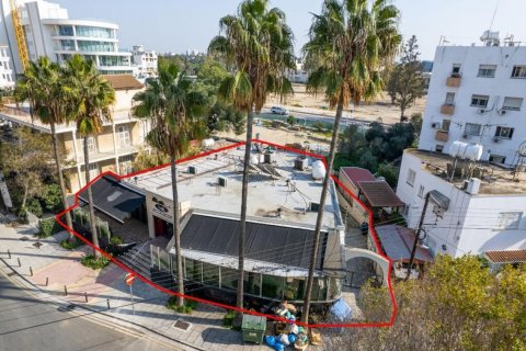242m2 Commercial property in Nicosia, Cyprus No. 37944