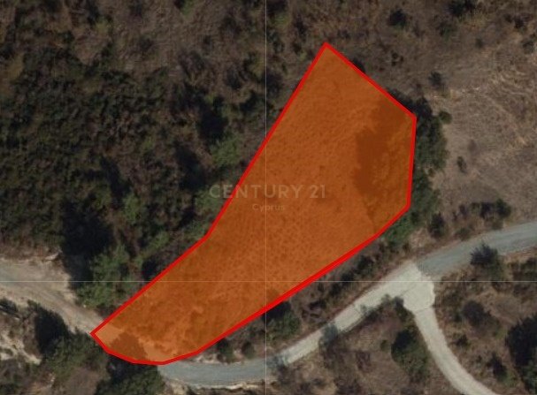 Land in Pera Pedi, Limassol, Cyprus No. 54080