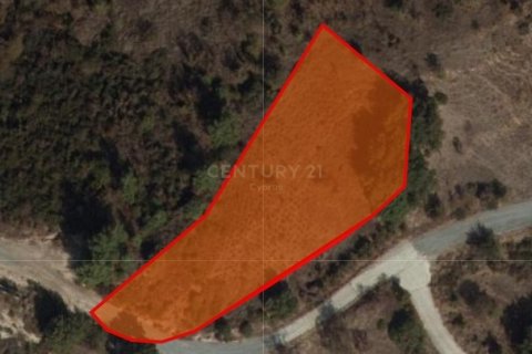 Land in Pera Pedi, Limassol, Cyprus No. 54080