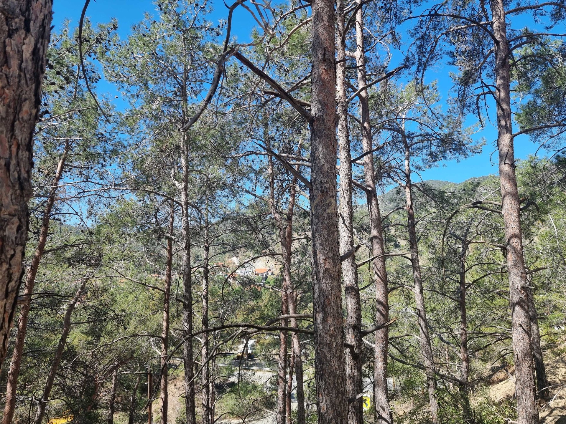 Terrain à Moniatis, Limassol, Chypre No. 54076