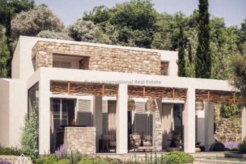 3 bedrooms Villa in Polis, Paphos, Cyprus No. 37858