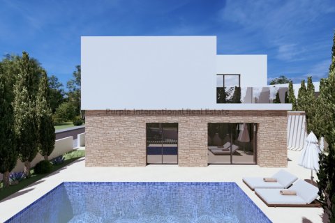 3 bedrooms Villa in Pegeia, Paphos, Cyprus No. 51598