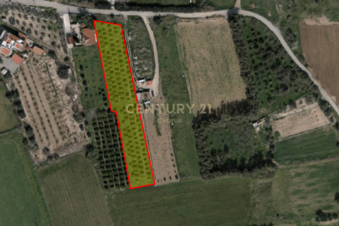 Terreno en Kolossi, Limassol, Chipre No. 53981