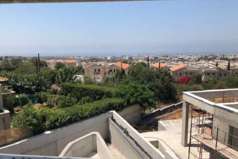 Studio Villa in Paphos, Cyprus No. 38646