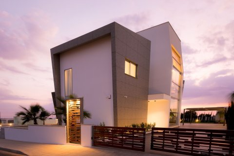 3 chambres Villa à Ayia Napa, Ammochostos, Chypre No. 42831