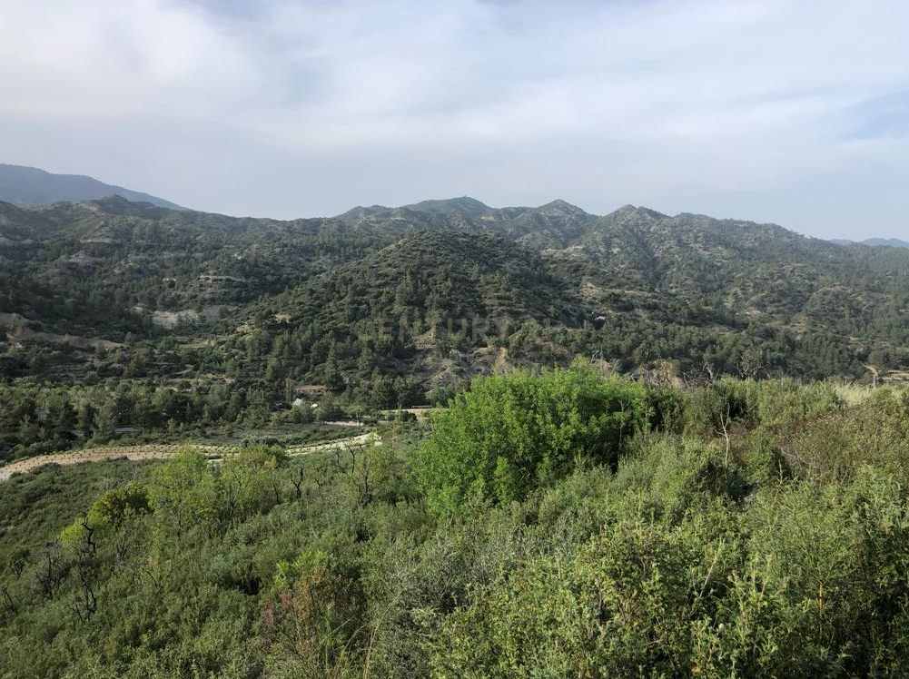 Terrain à Agios Mamas, Limassol, Chypre No. 54070