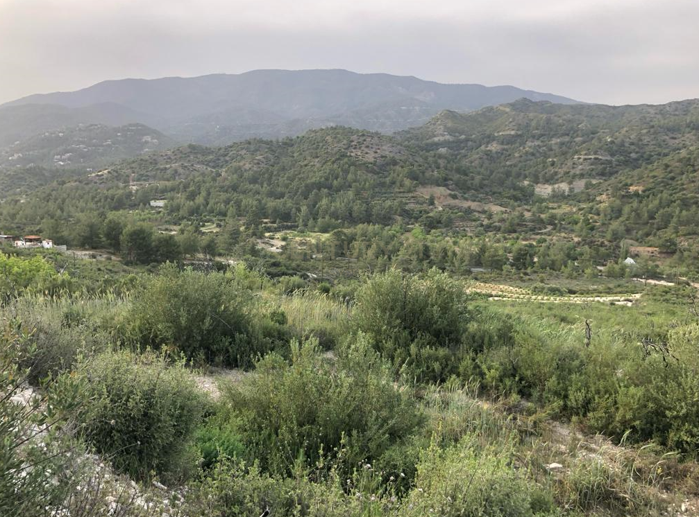 Terrain à Agios Mamas, Limassol, Chypre No. 54070