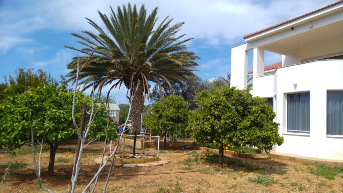 3 bedrooms Villa in Limassol, Cyprus No. 38337