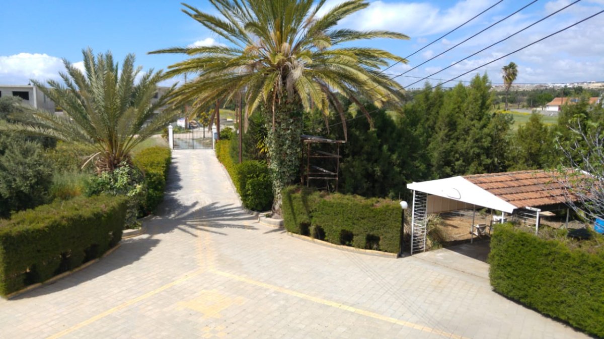 3 bedrooms Villa in Limassol, Cyprus No. 38337