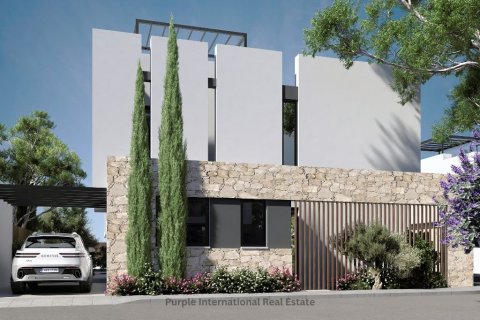 4 bedrooms Villa in Ayia Napa, Ammochostos, Cyprus No. 36526