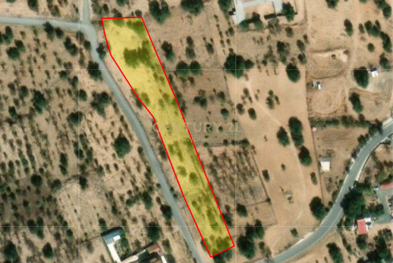 Land in Apesia, Limassol, Cyprus No. 54317