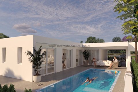 2 bedrooms Bungalow in Frenaros, Ammochostos, Cyprus No. 53104