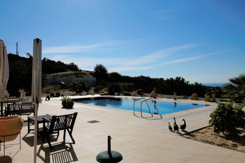 7 bedrooms Villa in Kouklia, Paphos, Cyprus No. 7825