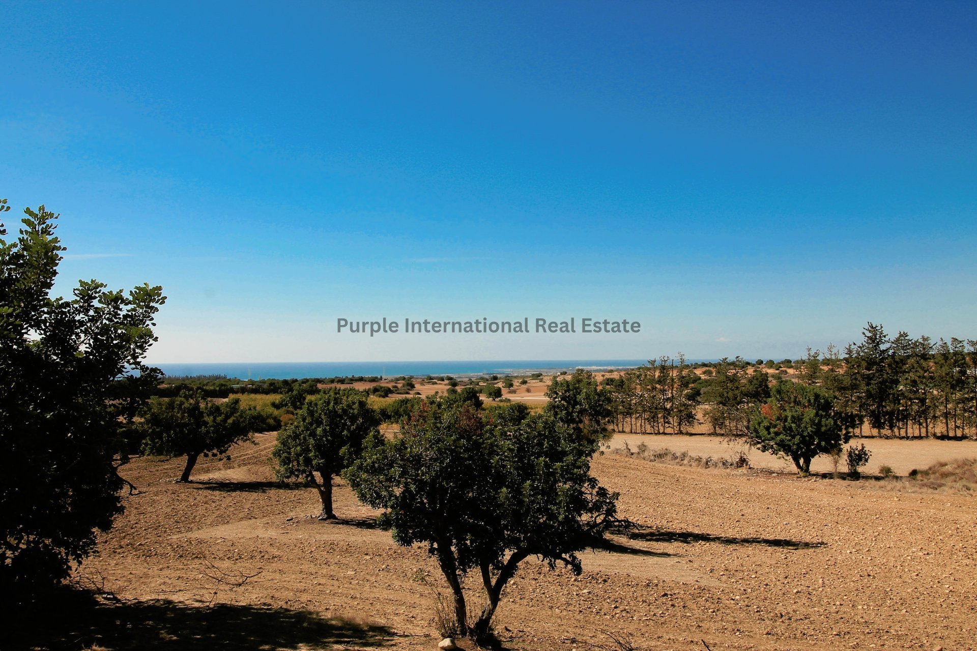 7 bedrooms Villa in Kouklia, Paphos, Cyprus No. 7825