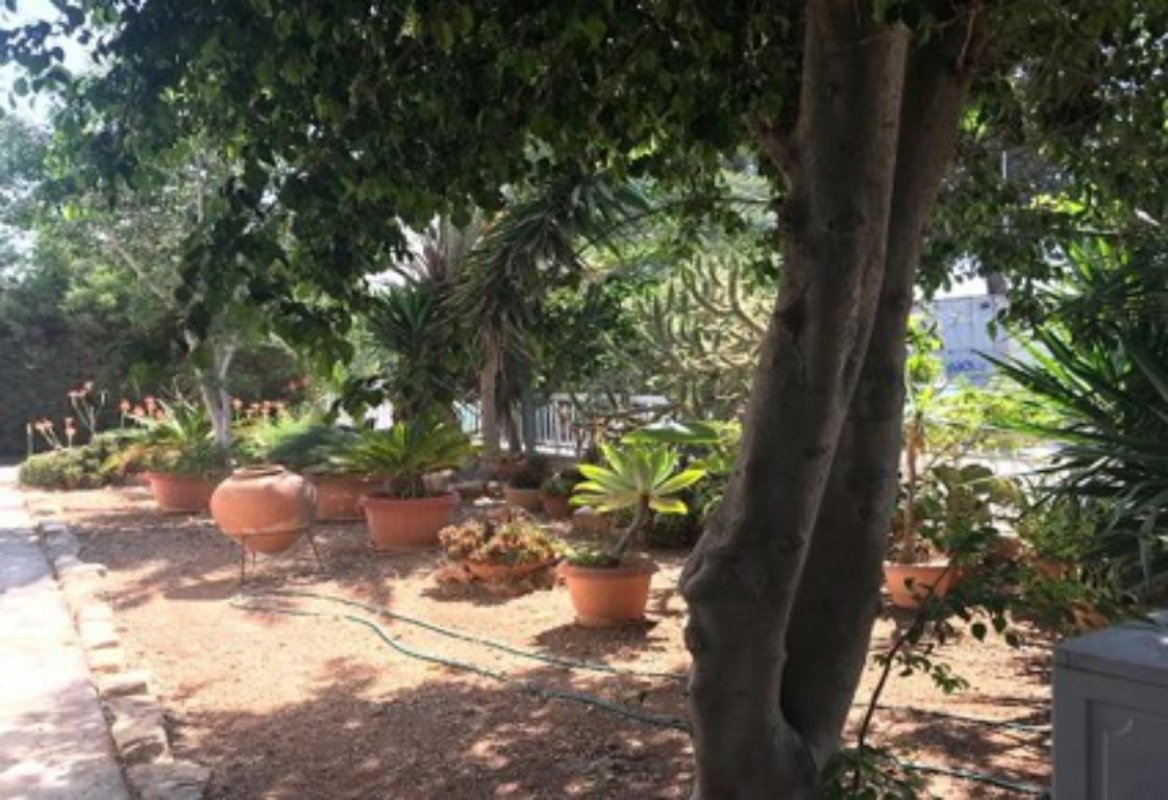 3 chambres Villa à Limassol, Chypre No. 38466
