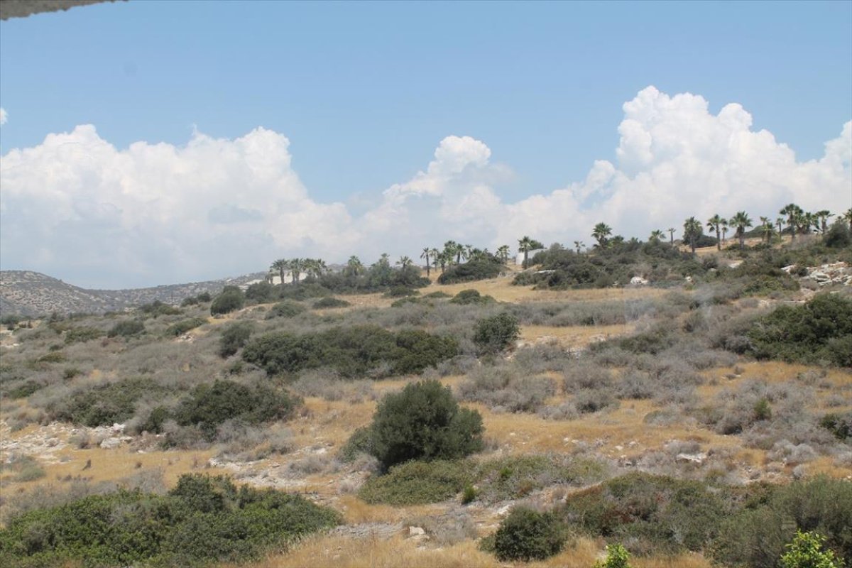 3 chambres Appartement à Limassol, Chypre No. 38319