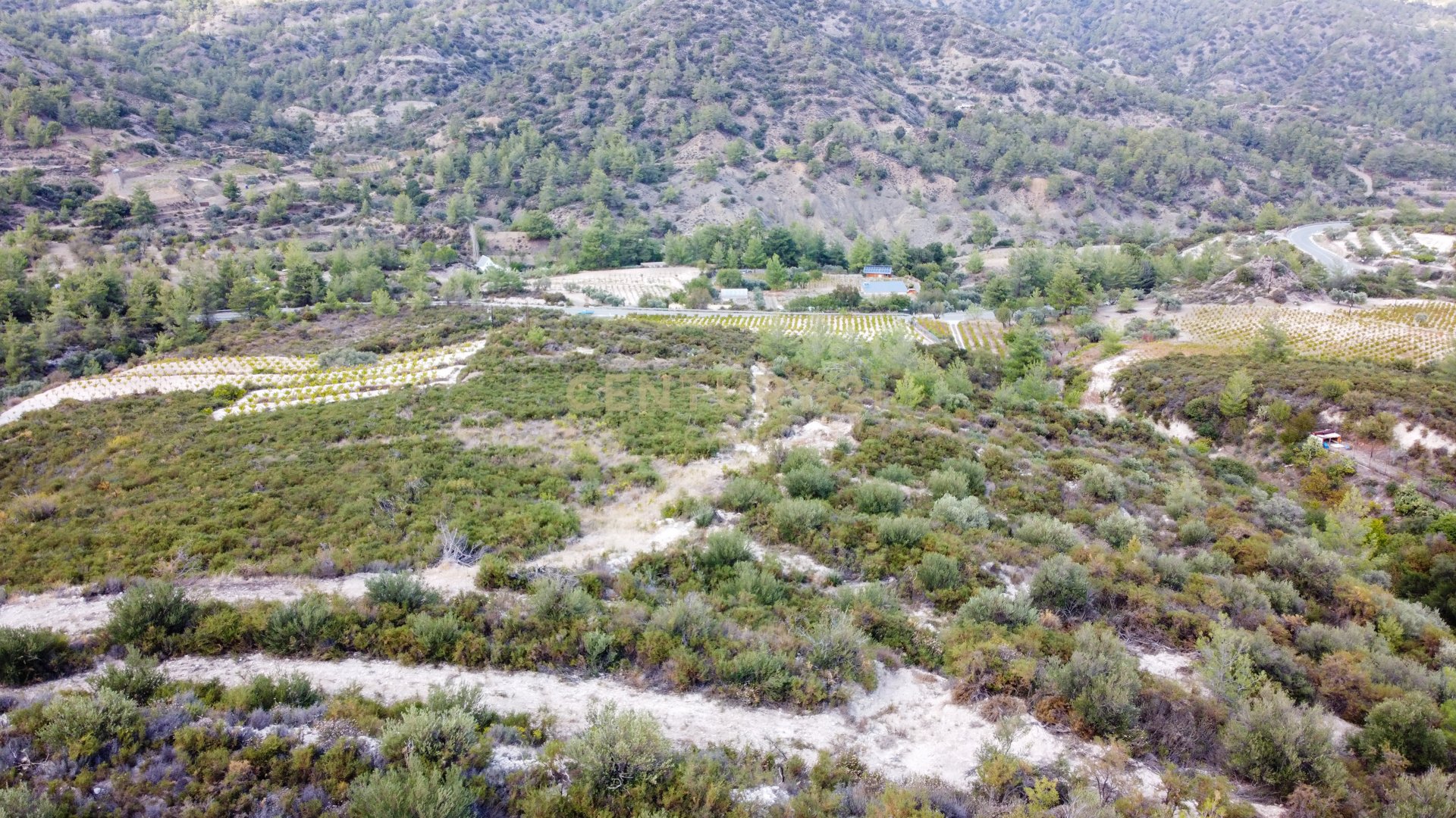 Terrain à Agios Mamas, Limassol, Chypre No. 53399