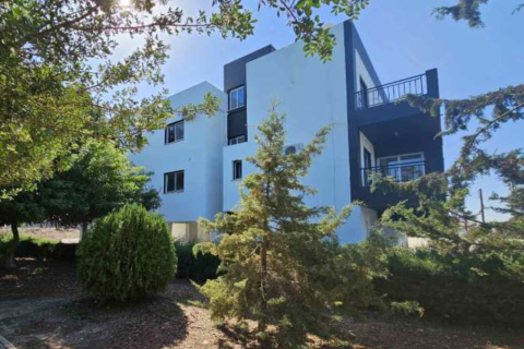 719m2 Commercial property in Meneou, Larnaka, Cyprus No. 50148