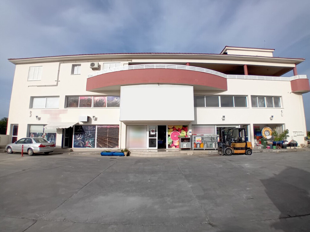 1131m2 Commercial property in Nicosia, Cyprus No. 37903