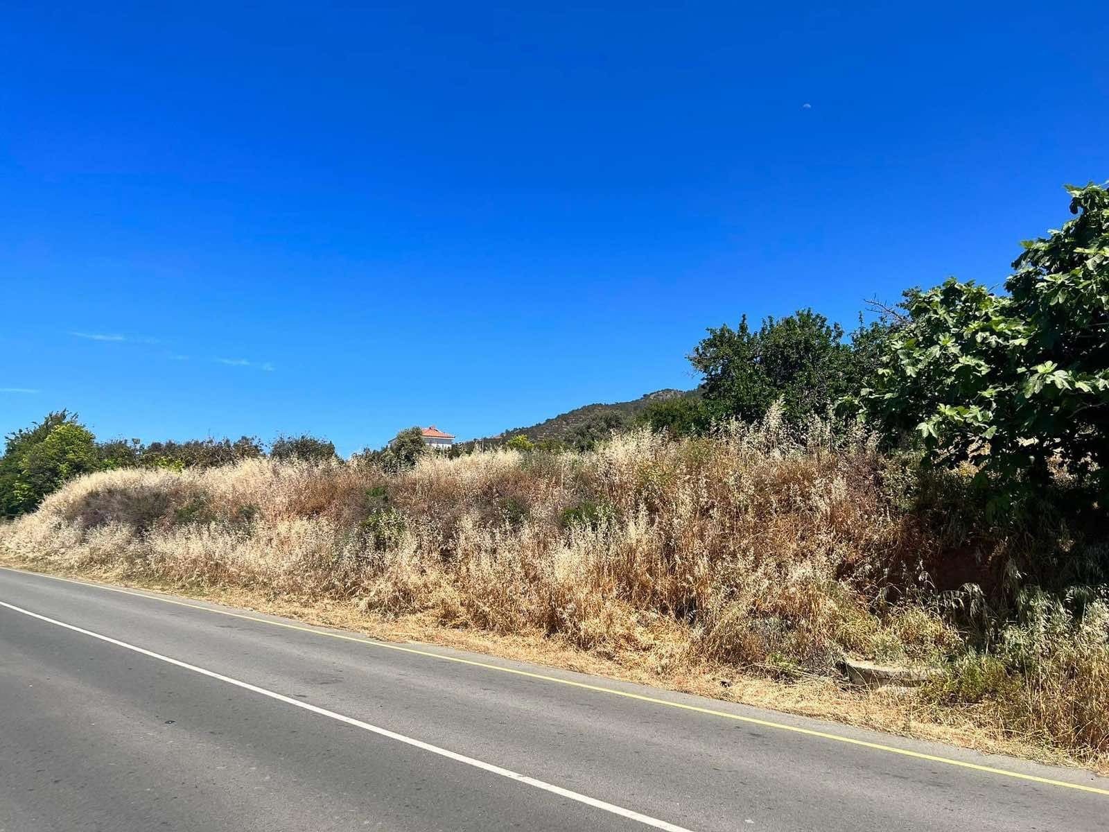 Land in Pomos, Paphos, Cyprus No. 56297