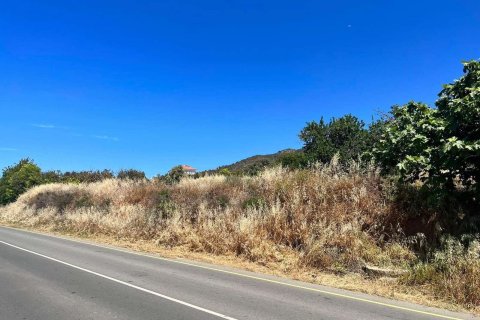 Land in Pomos, Paphos, Cyprus No. 56297