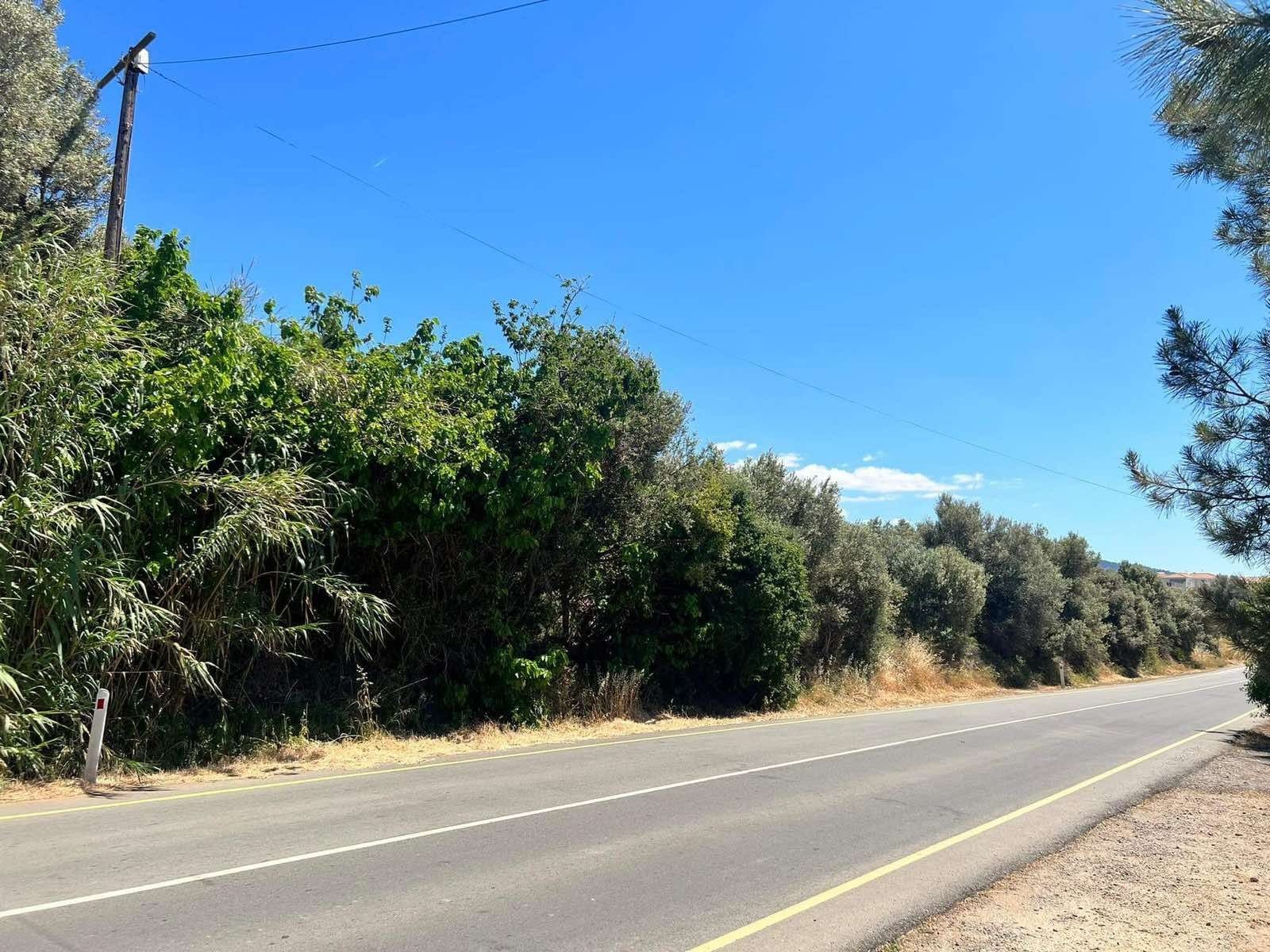 Land in Pomos, Paphos, Cyprus No. 56297