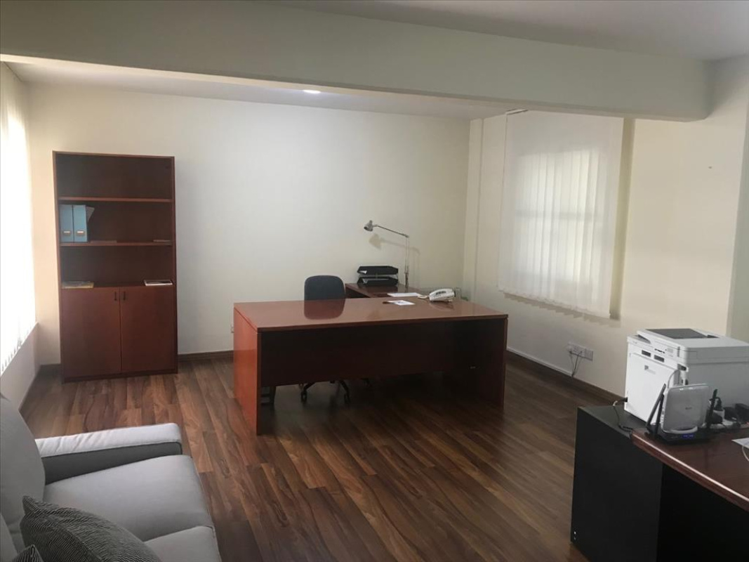 203m2 Commercial property in Nicosia, Cyprus No. 38530