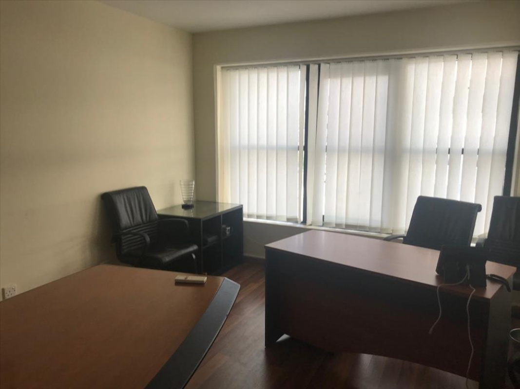 203m2 Commercial property in Nicosia, Cyprus No. 38530