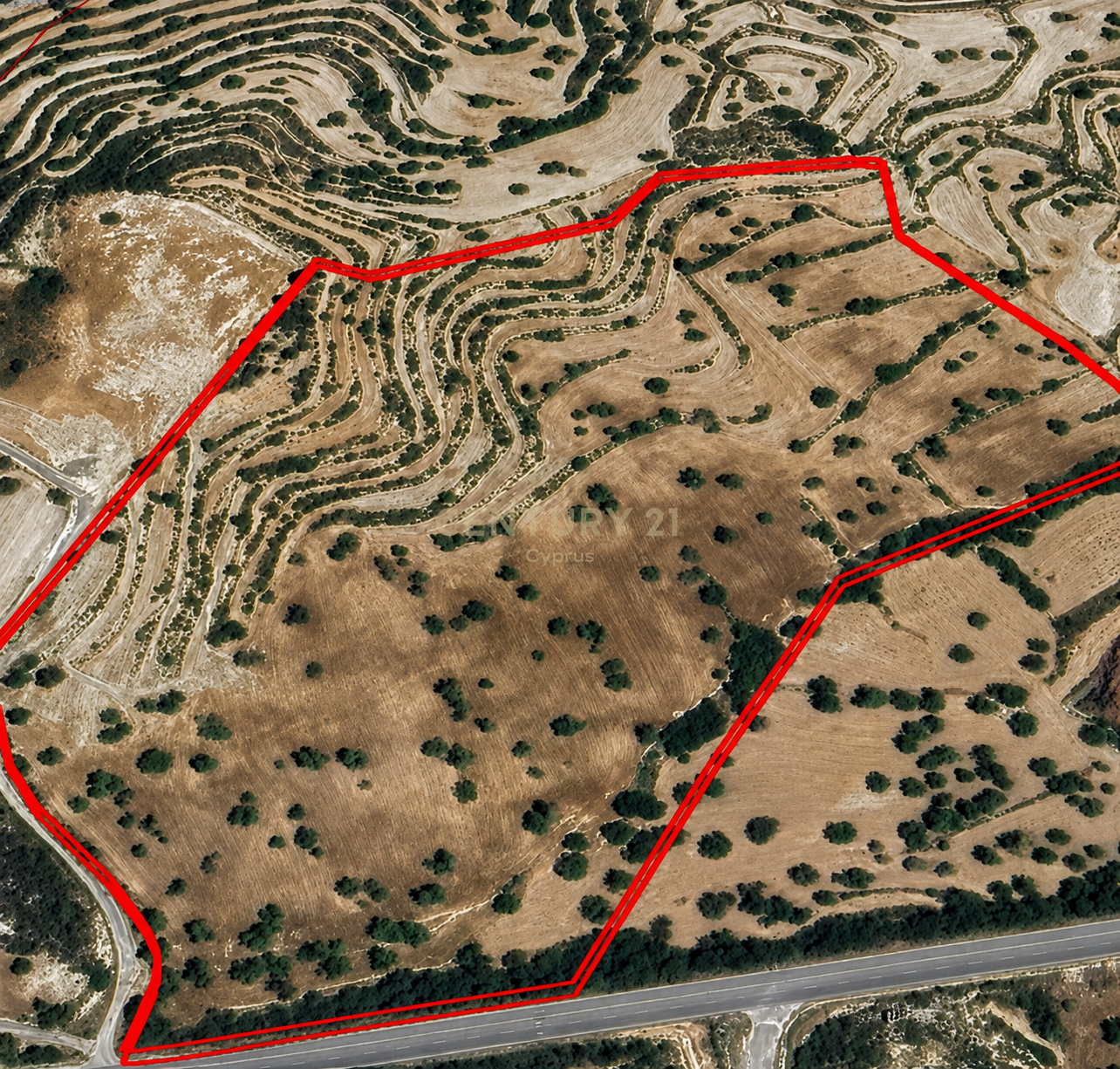 Terrain à Paramytha, Limassol, Chypre No. 53494