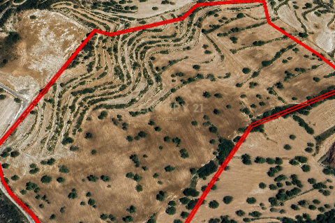 Terrain à Paramytha, Limassol, Chypre No. 53494